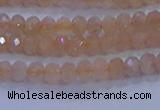 CRB1866 15.5 inches 2*3mm faceted rondelle moonstone beads
