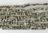 CRG31 15.5 inches 6mm flat star sesame jasper beads wholesale