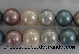 CSB1094 15.5 inches 12mm round mixed color shell pearl beads