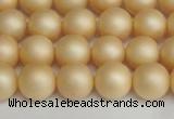 CSB1378 15.5 inches 10mm matte round shell pearl beads wholesale