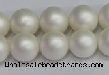 CSB1603 15.5 inches 10mm round matte shell pearl beads wholesale