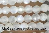 CTG1480 15.5 inches 3mm faceted round white moonstone beads