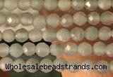 CTG2155 15 inches 2mm,3mm faceted round amazonite gemstone beads