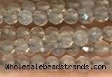 CTG2255 15 inches 2mm faceted round grey agate beads