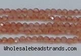 CTG609 15.5 inches 2mm faceted round golden sunstone beads