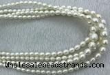 FWP212 15 inches 4mm - 9mm rice white freshwater pearl strands