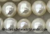 FWP81 15 inches 7mm - 8mm potato white freshwater pearl strands