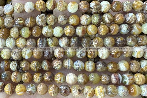 OPAL16 15 inches 6mm round Australia cat eye opal beads wholesale