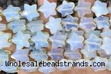 STAR43 15 inches 14mm faceted star opal gemstone beads