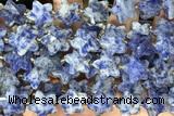 STAR56 15 inches 14mm faceted star sodalite gemstone beads