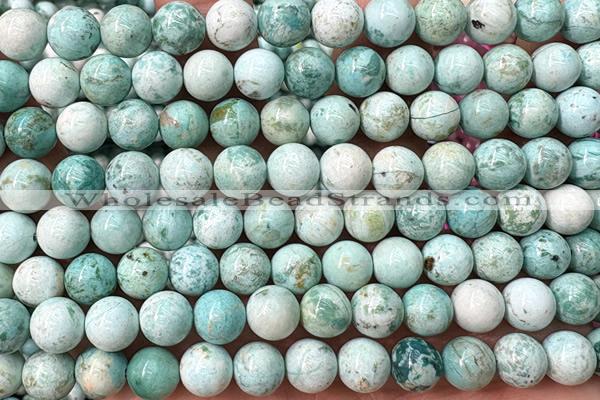 TURQ234 15 inches 8mm round turquoise beads wholesale